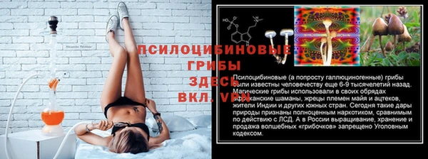 прущая мука Аркадак