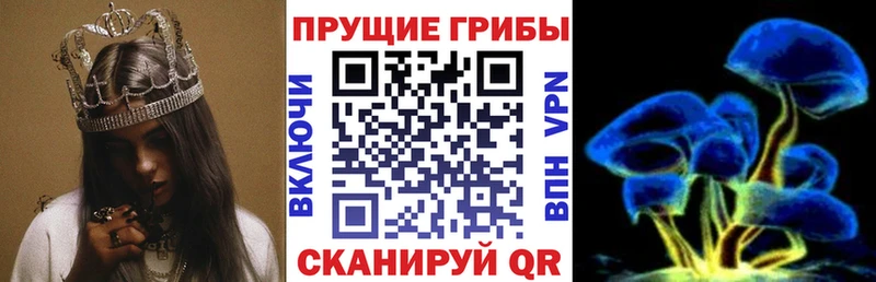 Псилоцибиновые грибы Magic Shrooms  купить наркотики цена  Зверево 